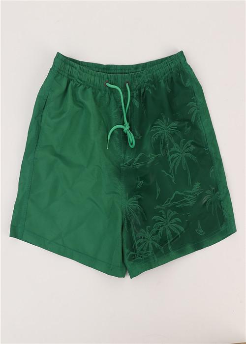 Beach shorts C