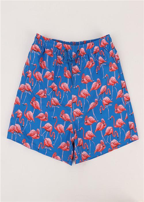 Beach shorts D