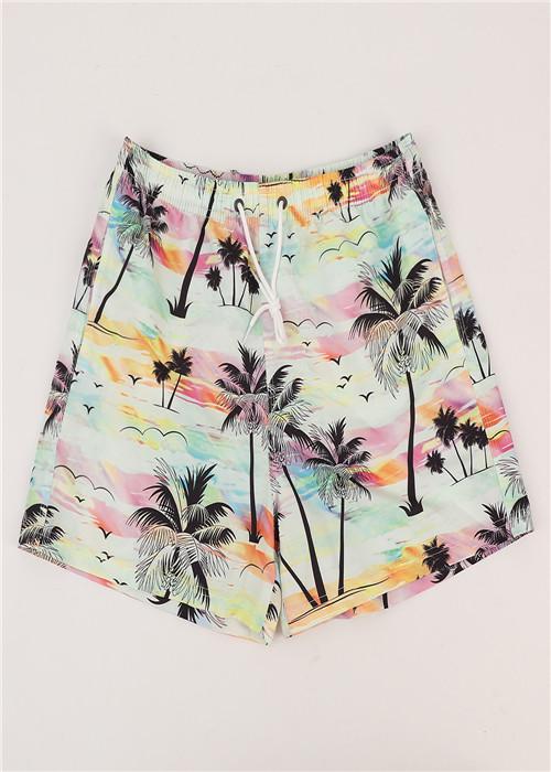 Beach shorts F